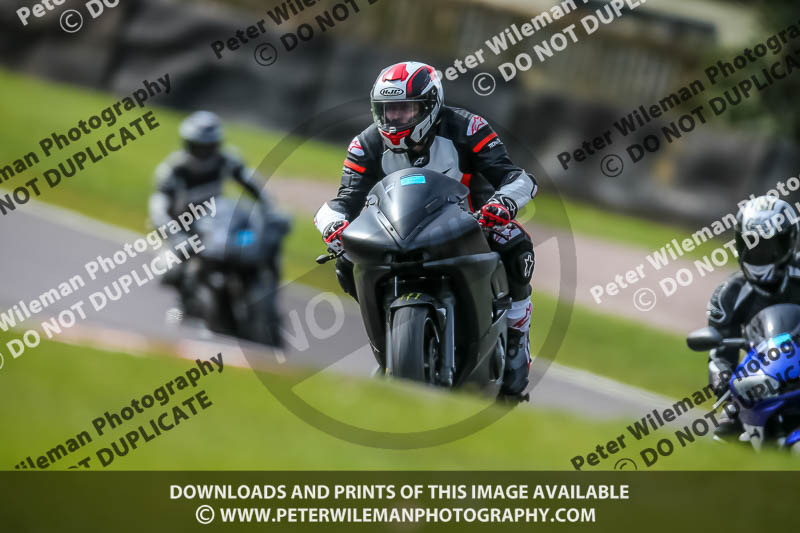 Oulton Park 21st March 2020;PJ Motorsport Photography 2020;anglesey;brands hatch;cadwell park;croft;donington park;enduro digital images;event digital images;eventdigitalimages;mallory;no limits;oulton park;peter wileman photography;racing digital images;silverstone;snetterton;trackday digital images;trackday photos;vmcc banbury run;welsh 2 day enduro